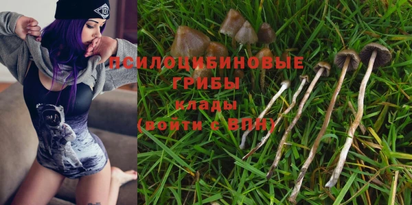 apvp Магас