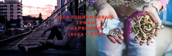 apvp Магас