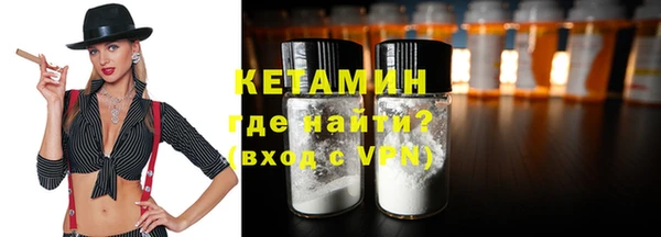 сатива Кохма