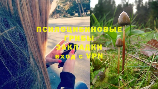 apvp Магас