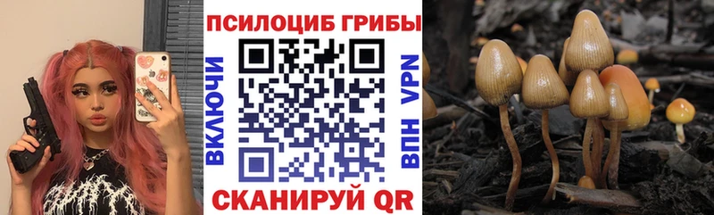 shop как зайти  Окуловка  Псилоцибиновые грибы MAGIC MUSHROOMS  omg зеркало 